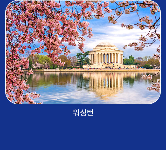 워싱턴