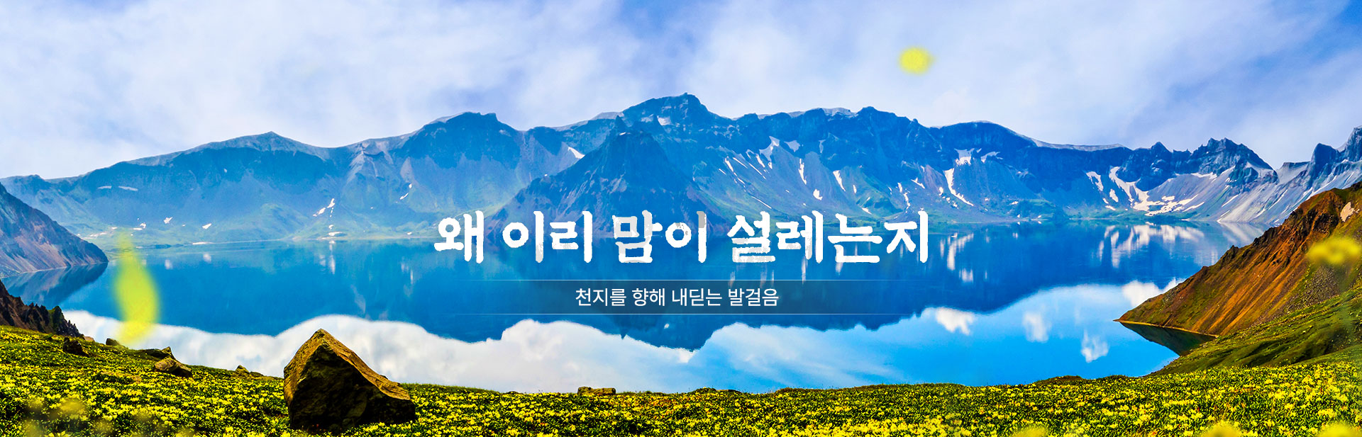 상단이미지