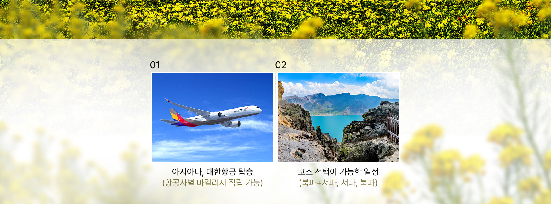 셀링포인트
