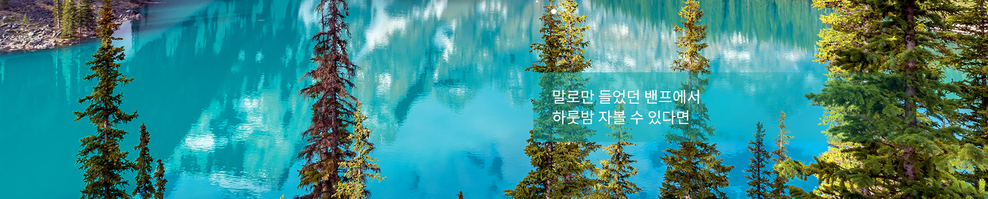 상단이미지