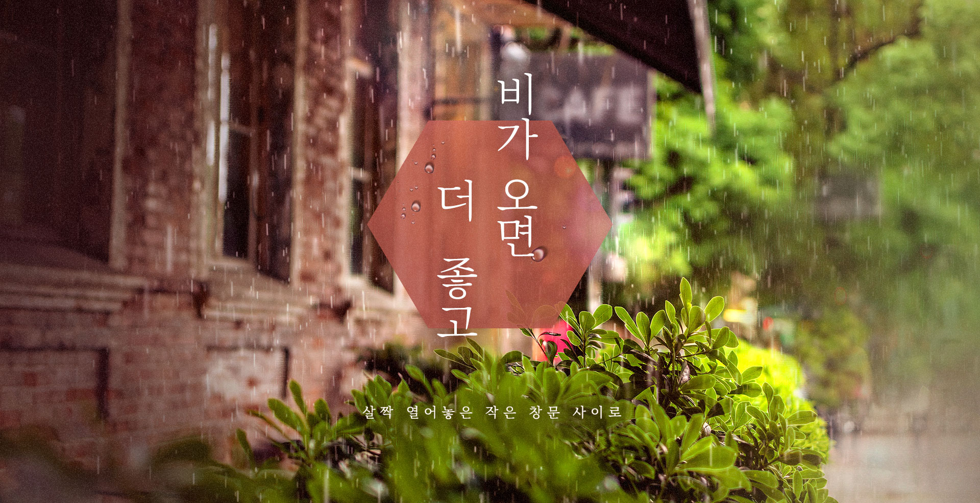 상단이미지