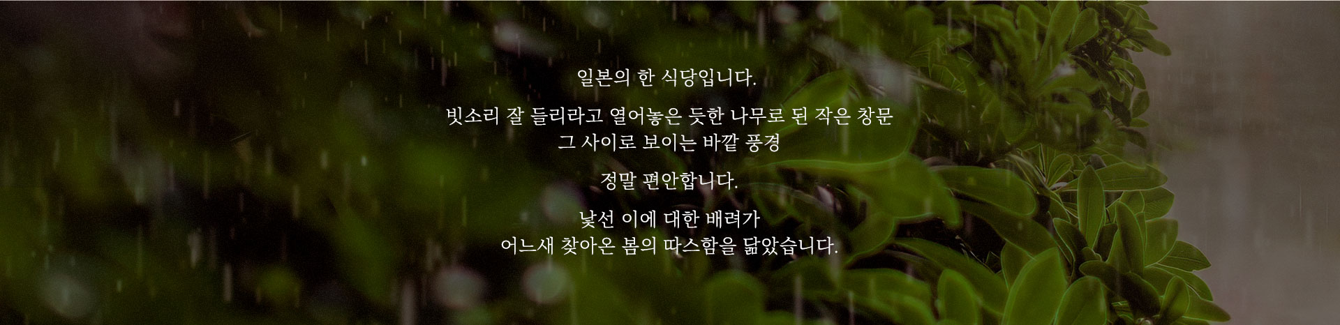 상단이미지