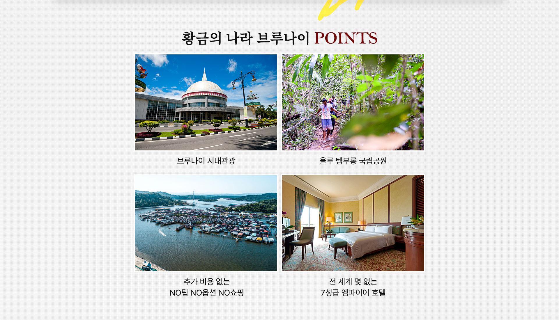 포인트