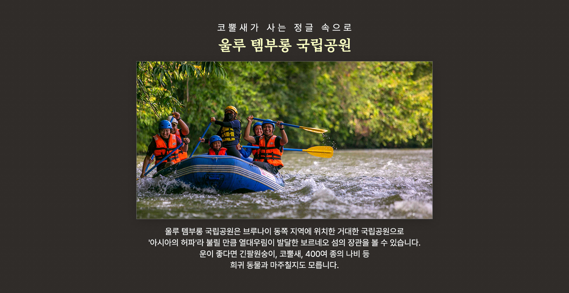 울루 템부롱 국립공원