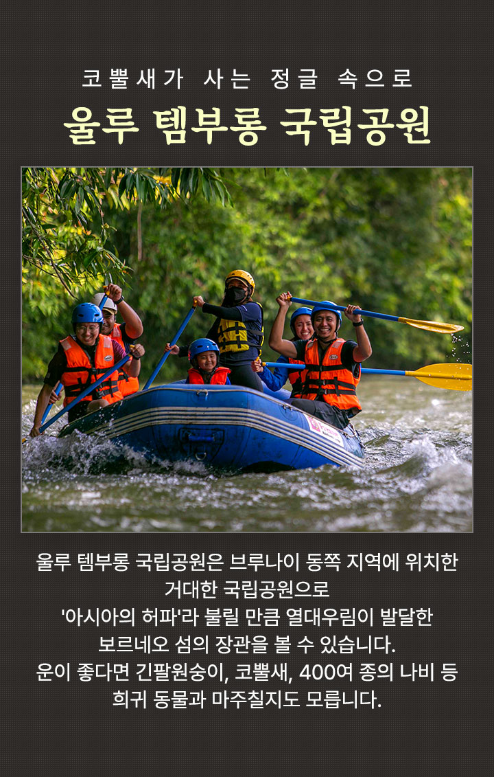 울루 템부롱 국립공원
