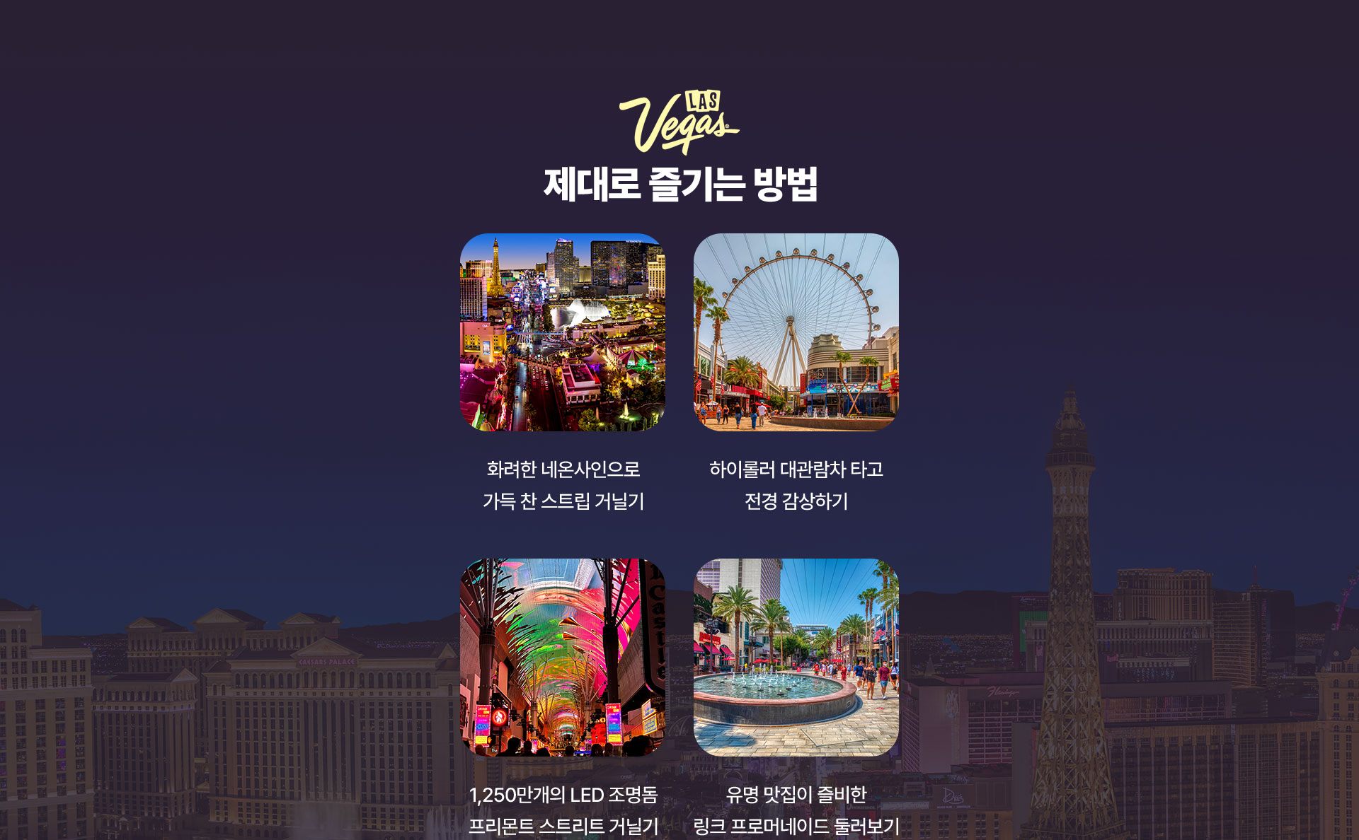 포인트