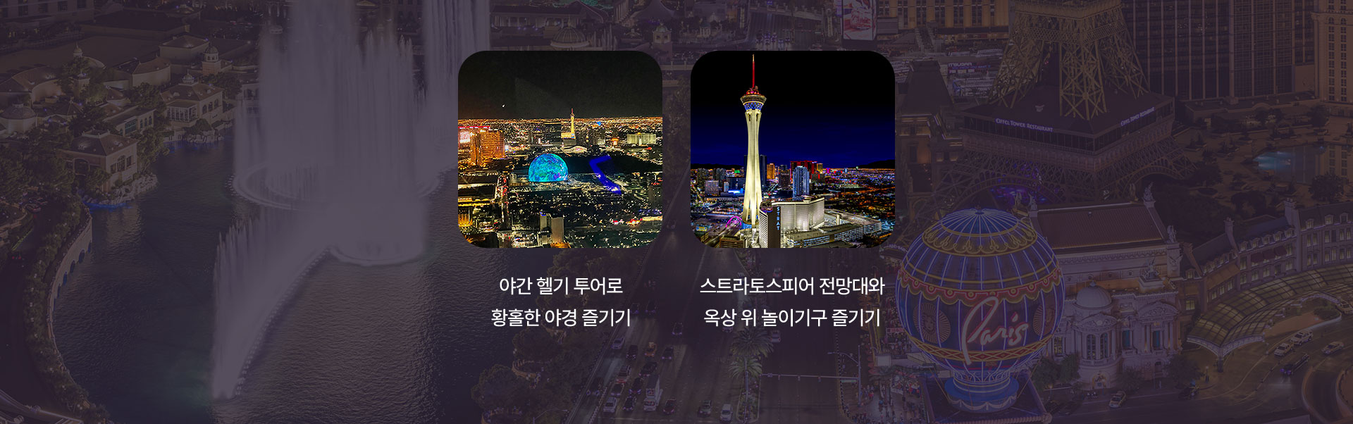 포인트