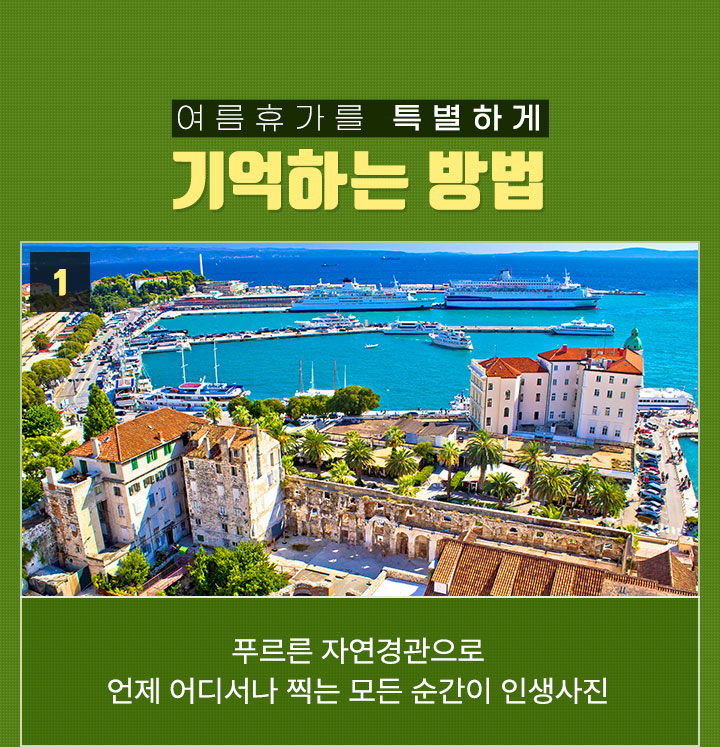 포인트