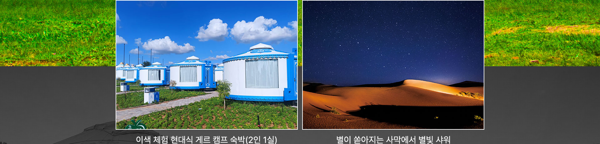 포인트