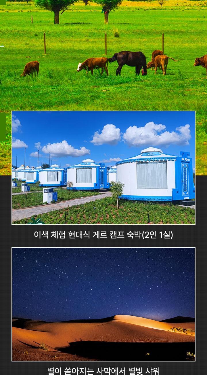 포인트