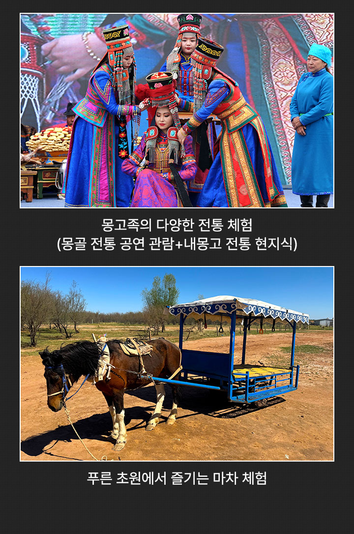 포인트