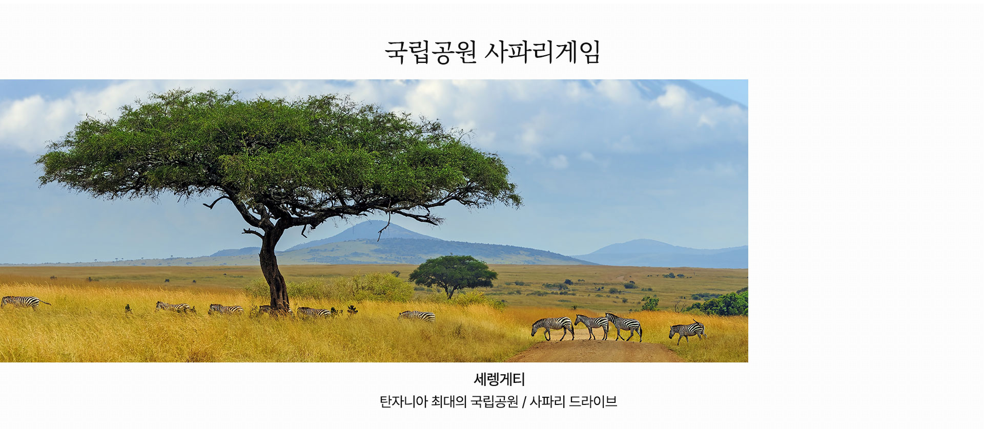 국립공원 사파리게임