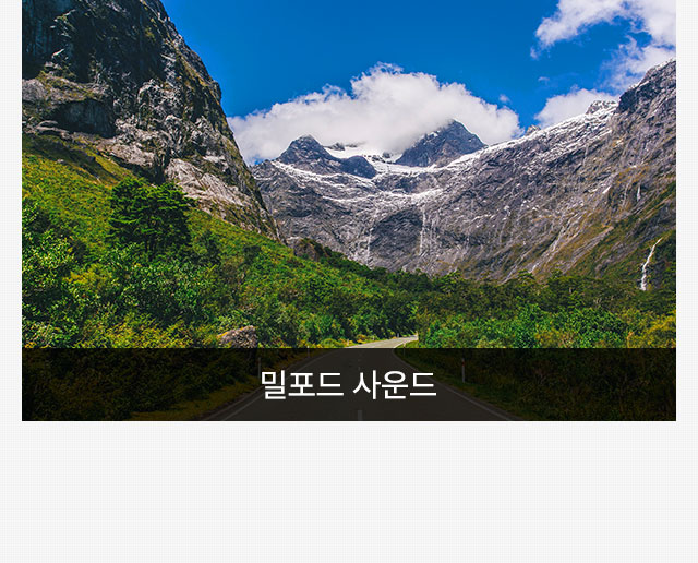 뉴질랜드