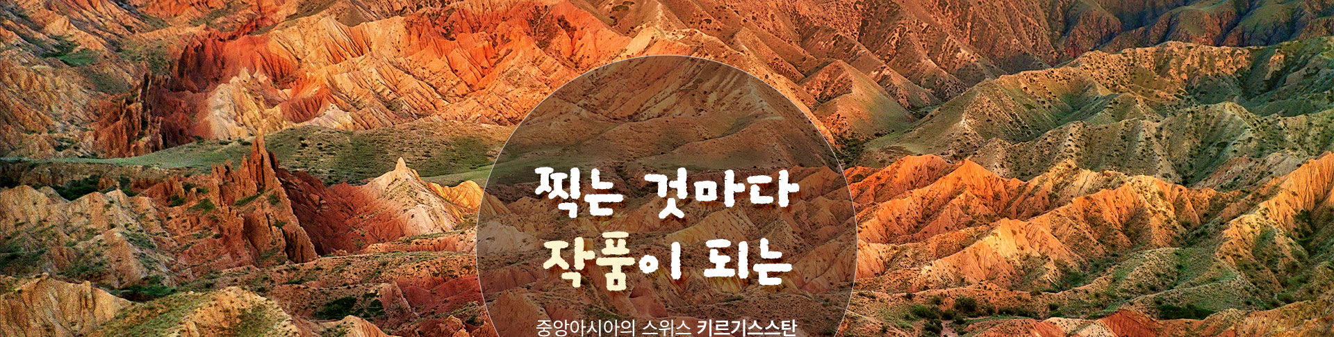 상단이미지