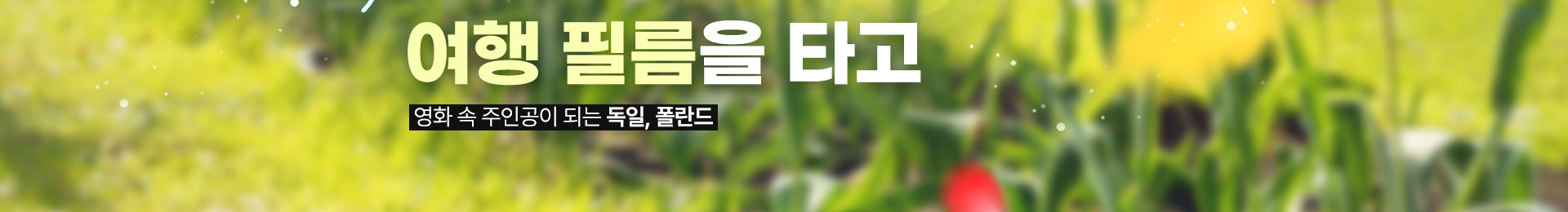 상단이미지