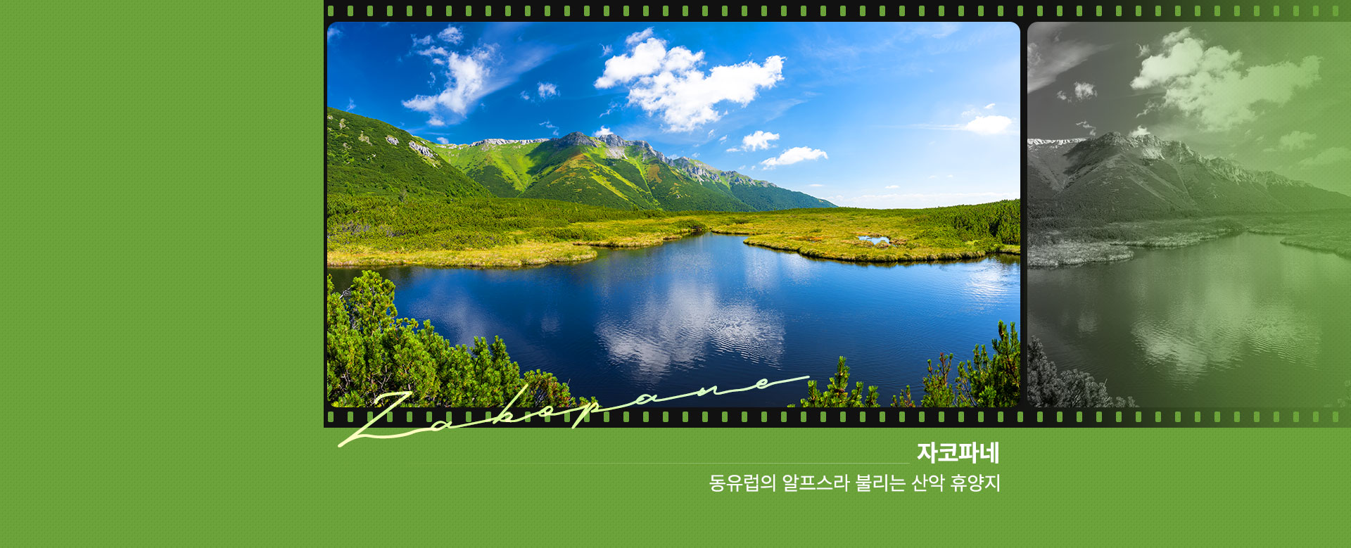 자코파네
