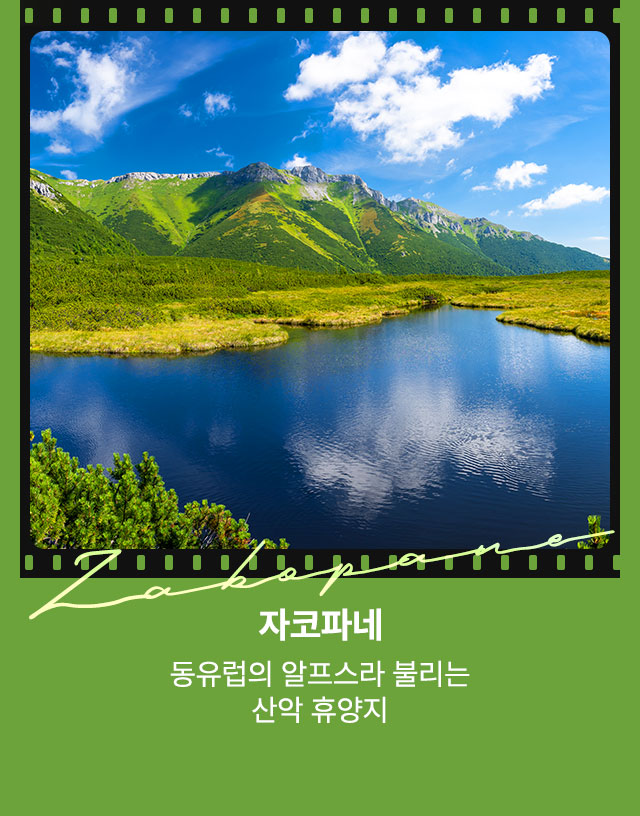 자코파네