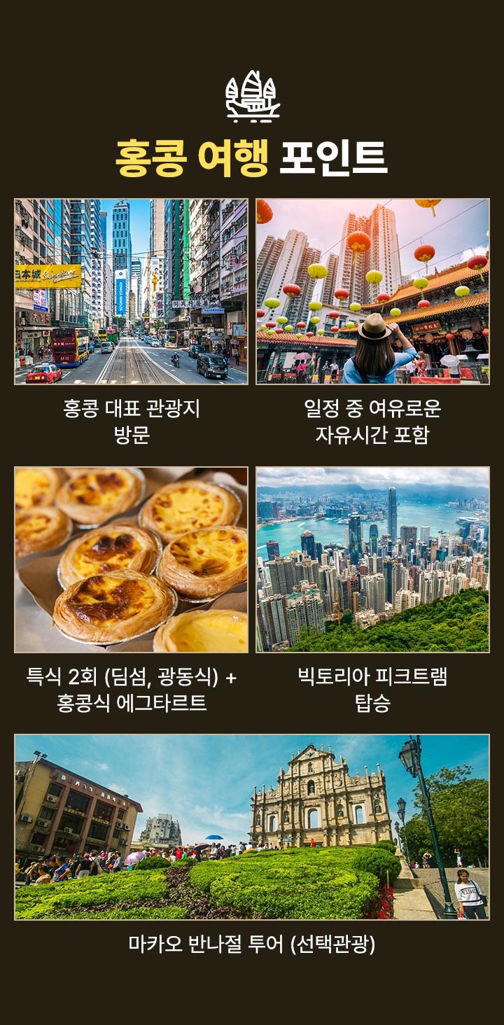 포인트