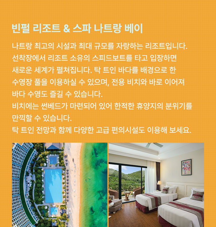 컨텐츠