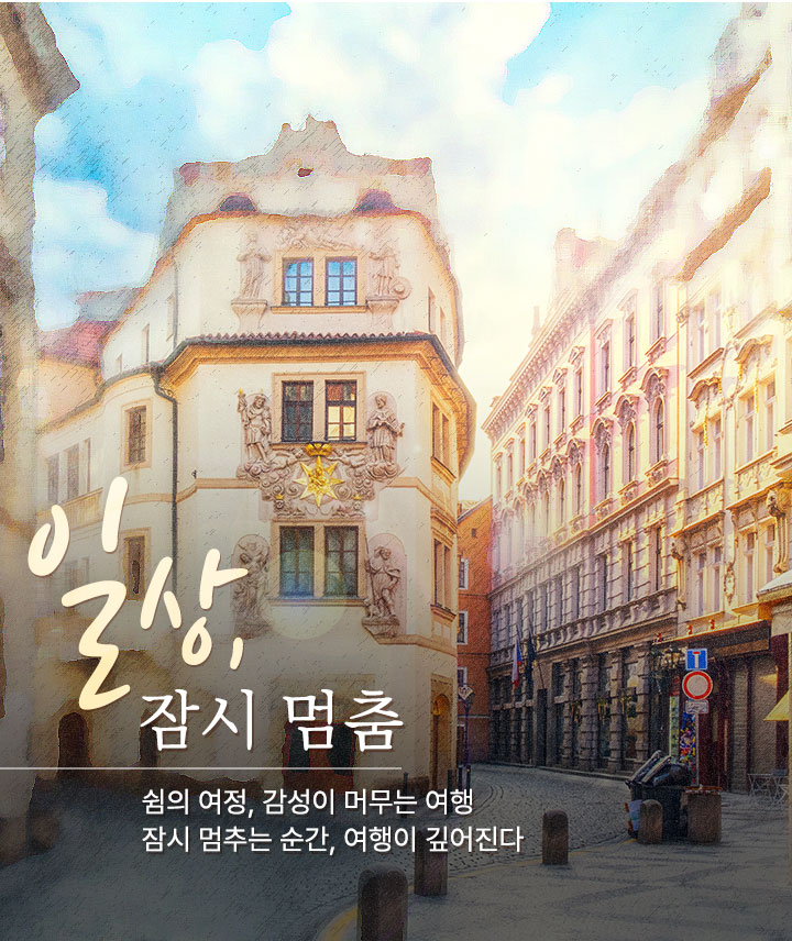 컨텐츠