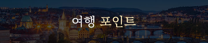 컨텐츠