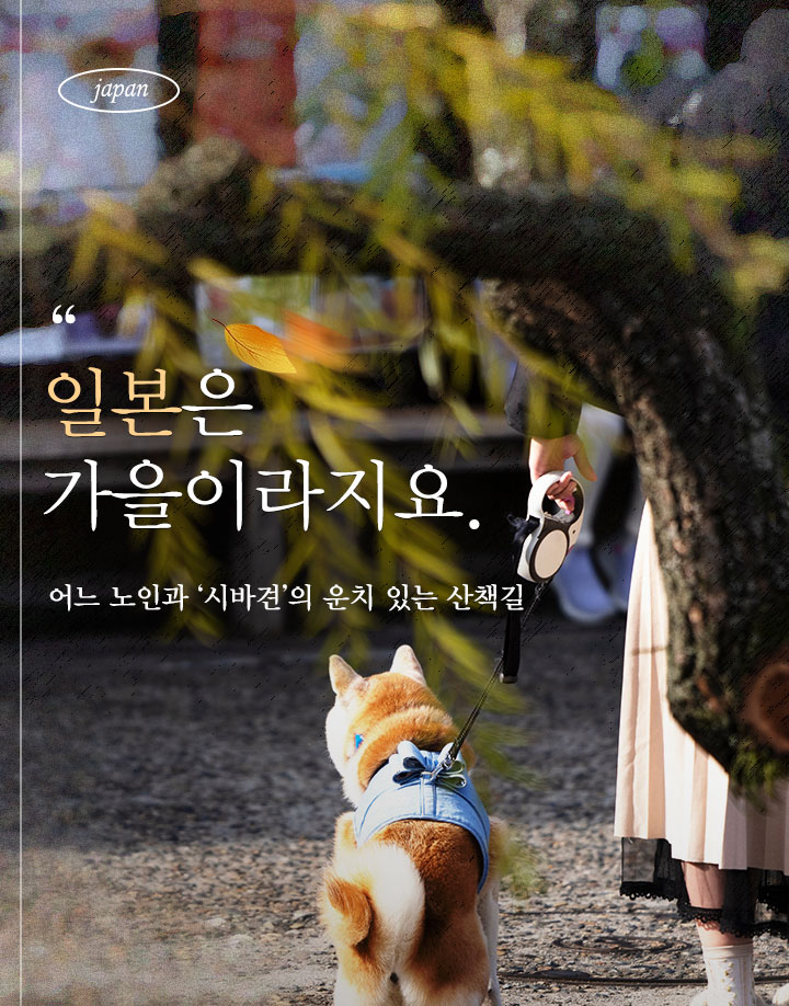 컨텐츠