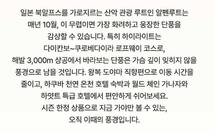 컨텐츠