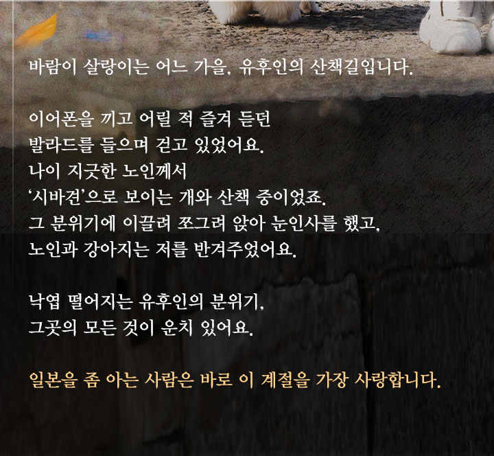 컨텐츠