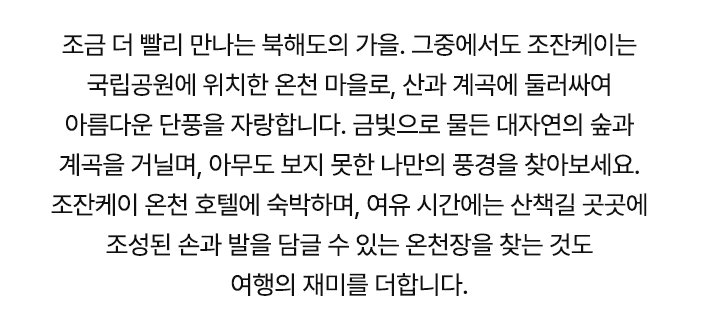 컨텐츠