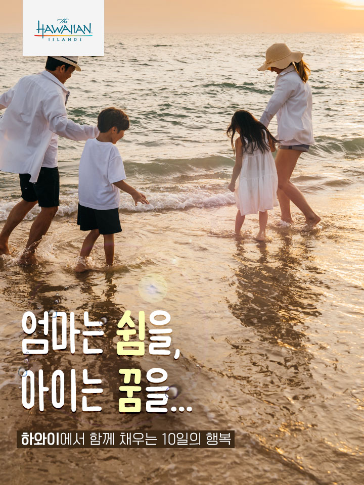 컨텐츠