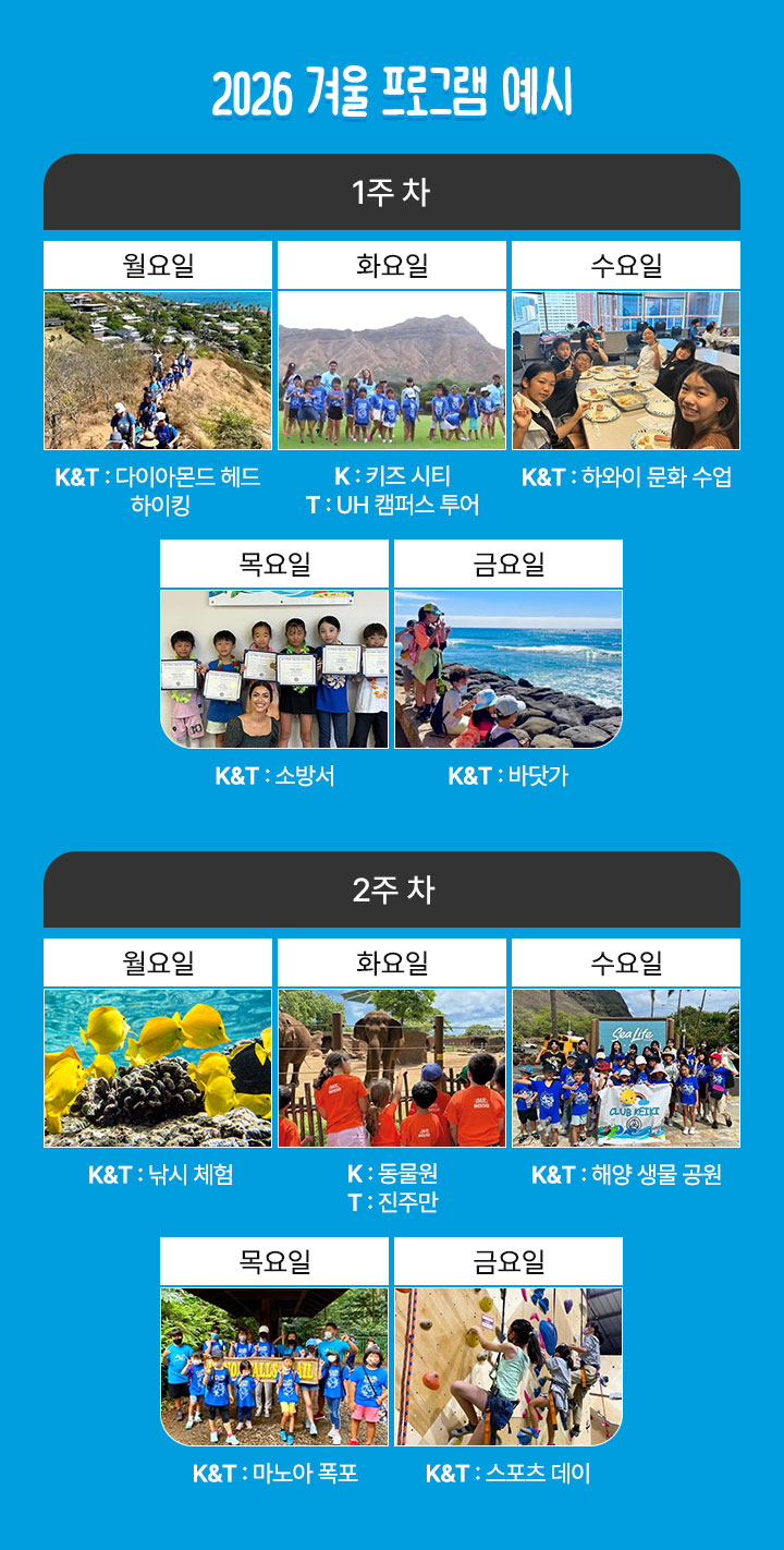 컨텐츠