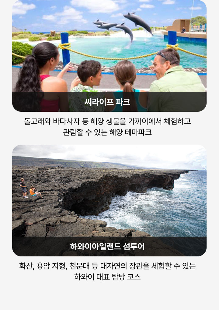 컨텐츠
