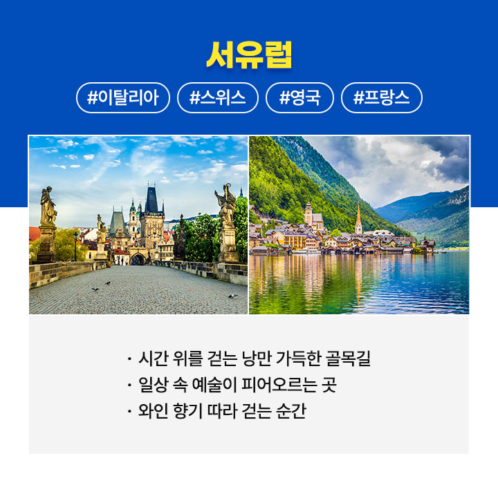 컨텐츠