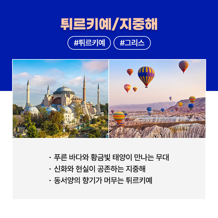 컨텐츠