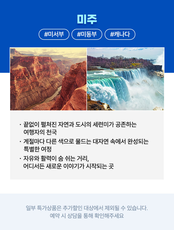 컨텐츠
