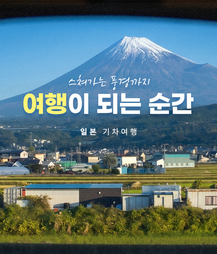컨텐츠