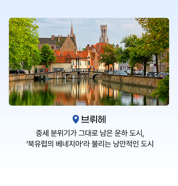 컨텐츠