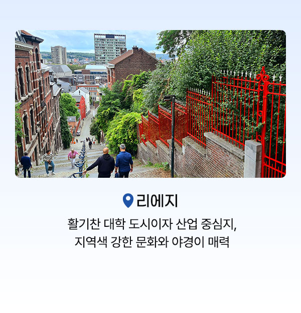 컨텐츠