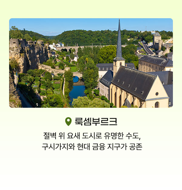 컨텐츠