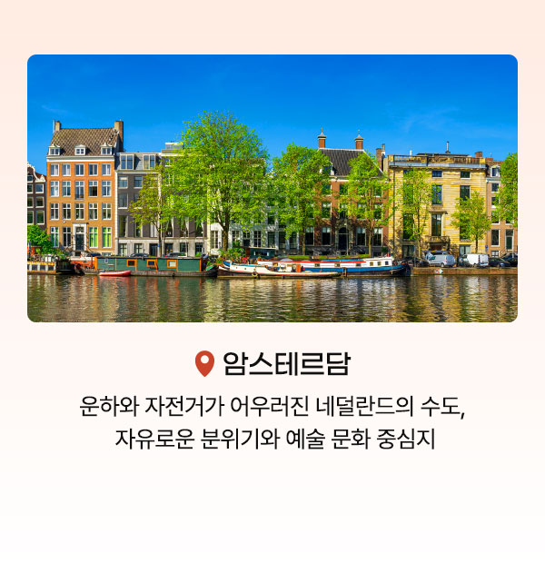 컨텐츠