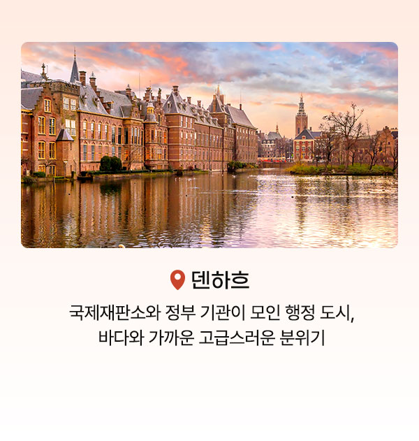 컨텐츠