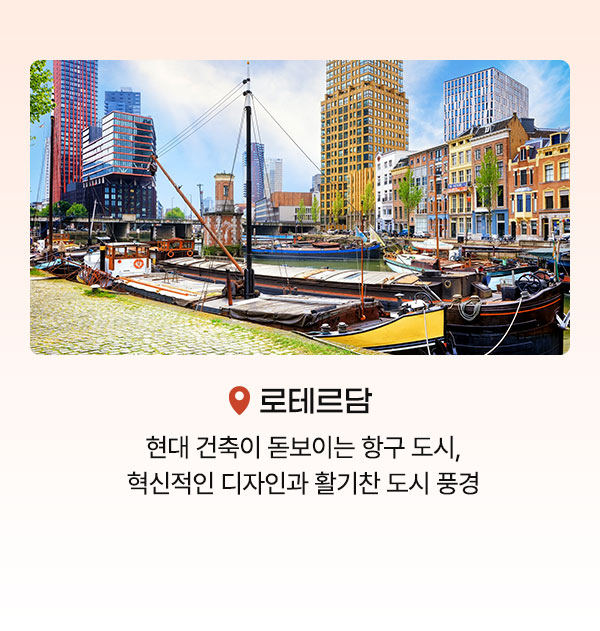 컨텐츠