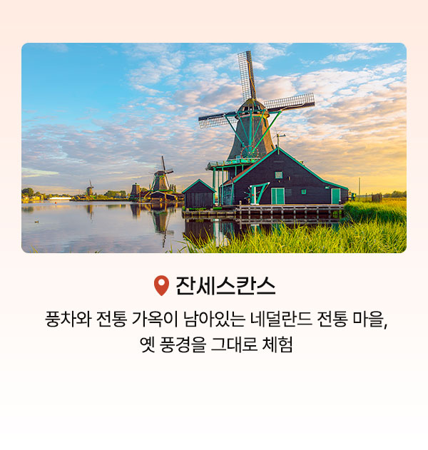 컨텐츠