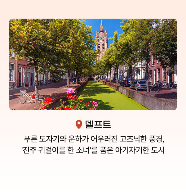 컨텐츠
