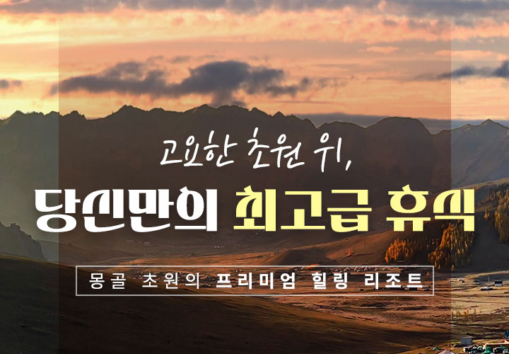 컨텐츠