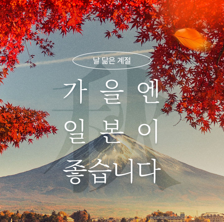 컨텐츠