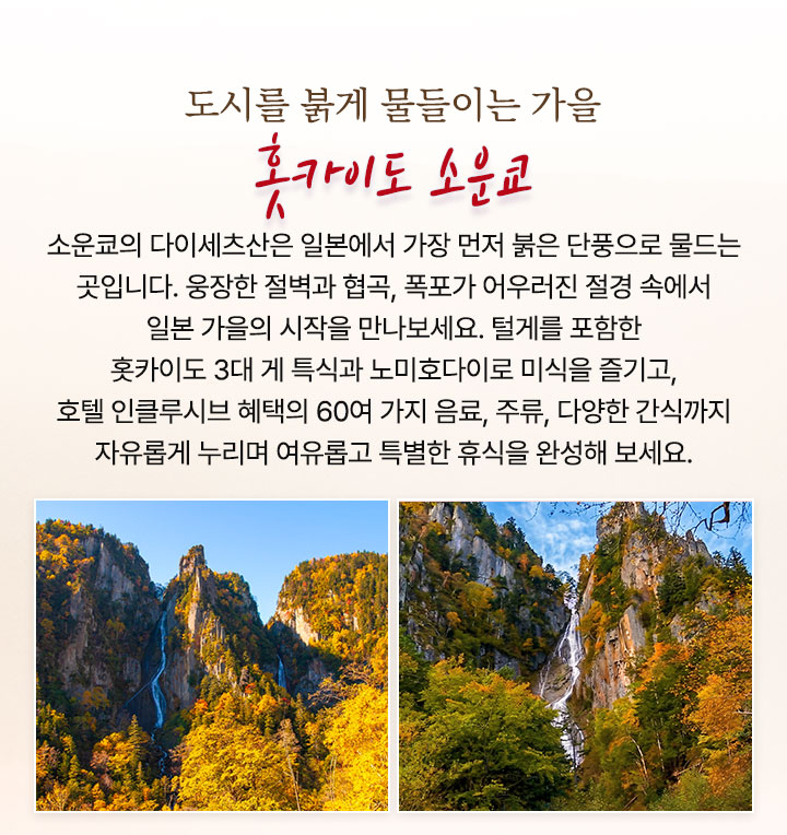 컨텐츠