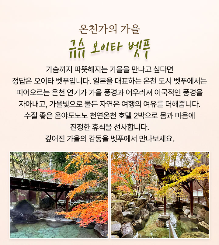 컨텐츠