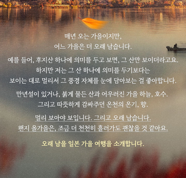 컨텐츠