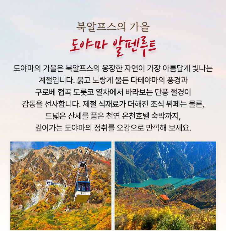 컨텐츠